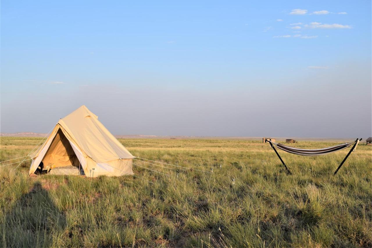 Starlight Tent 1 Holbrook Exterior foto