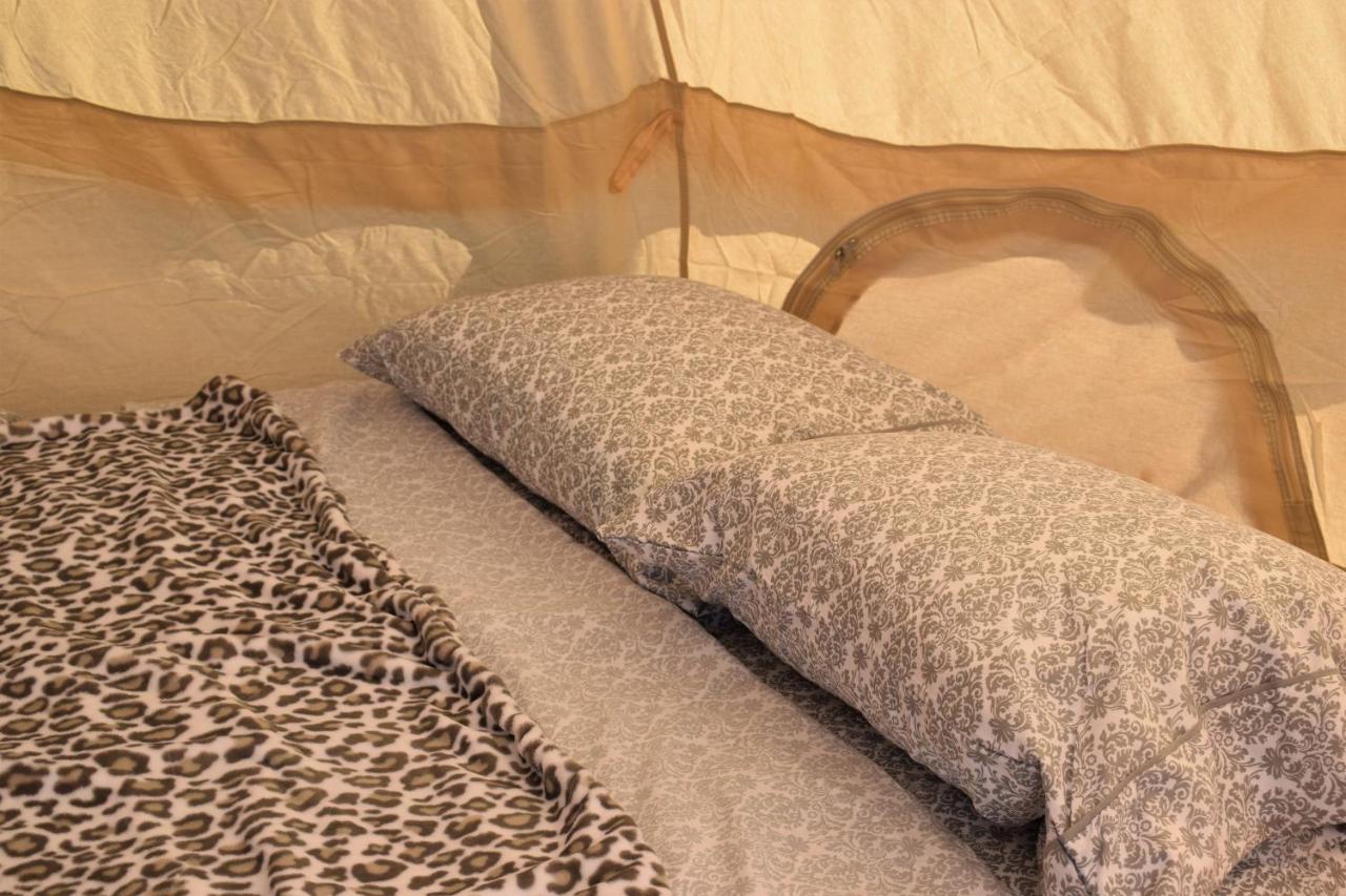 Starlight Tent 1 Holbrook Exterior foto