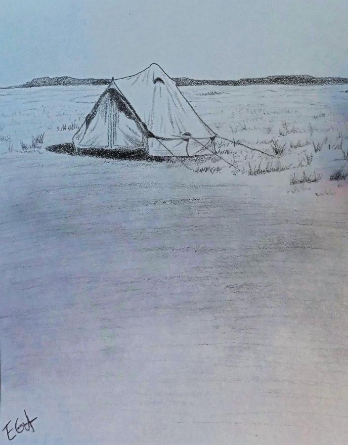 Starlight Tent 1 Holbrook Exterior foto